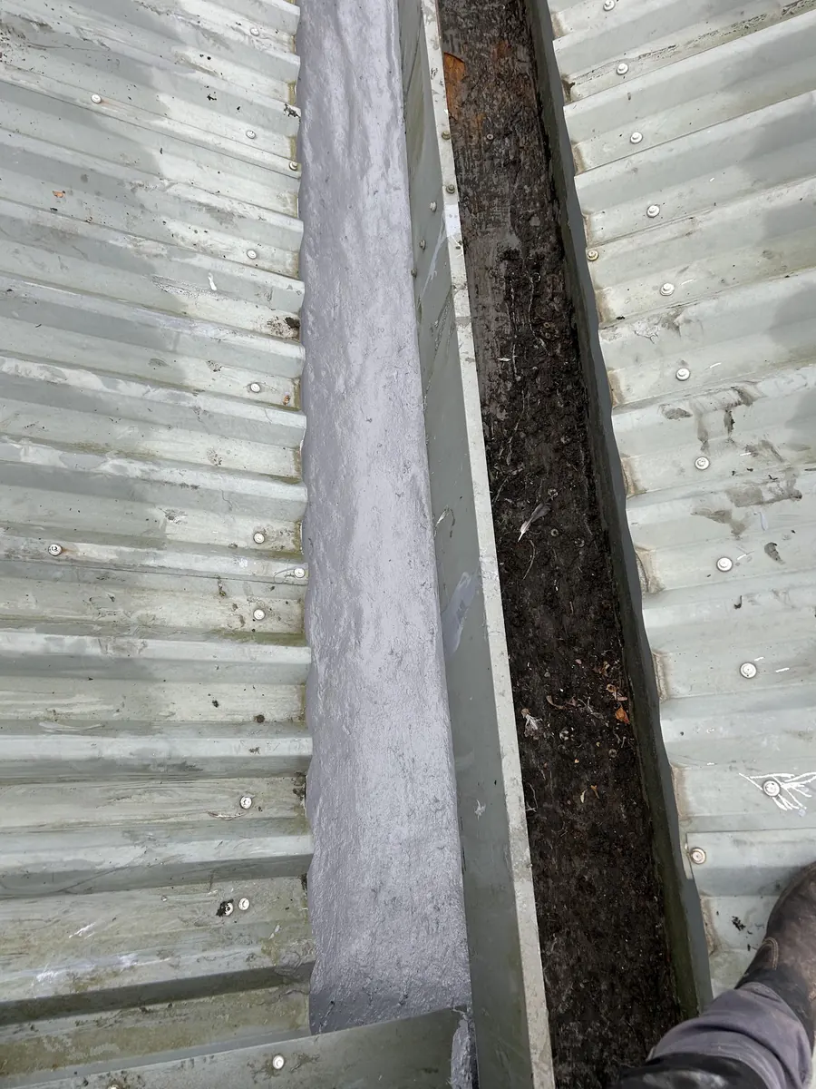 Gutter full of moss and debris before cleaning, Dawn Roofs Ltd